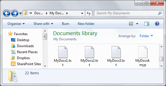 Default Windows File Explorer icon